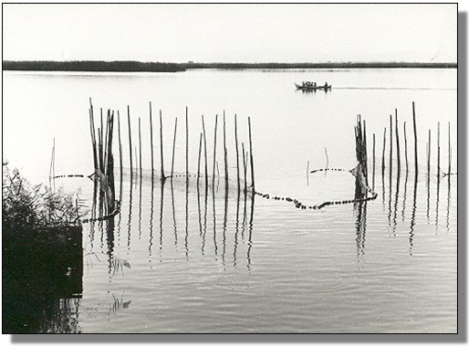 Ruhe an der Lagune / Stillness at the Lagoon